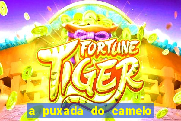 a puxada do camelo no jogo do bicho